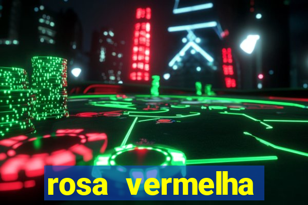 rosa vermelha (letra e cifra)